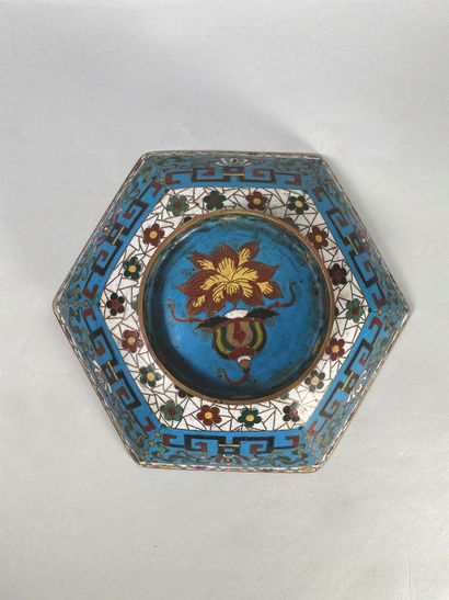 null Hexagonal bowl with floral decoration in cloisonné bronze.
China, 19th century.
H...