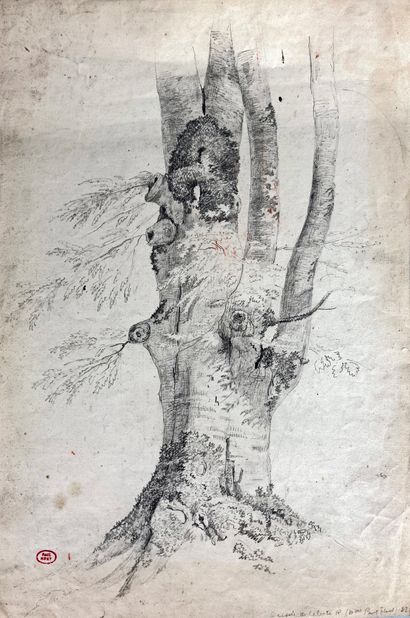 null Paul HUET (1803-1869)
Etude d'arbre, circa 1834.
Dessin à la mine de plomb....