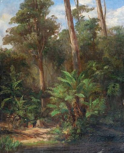 Ecole du XIXe La forêt tropicale. Huile sur toile. 47 x 38 cm