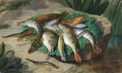 François Frédéric GROBON (1815 - 1901) Nature morte aux poissons. Huile sur panneau...