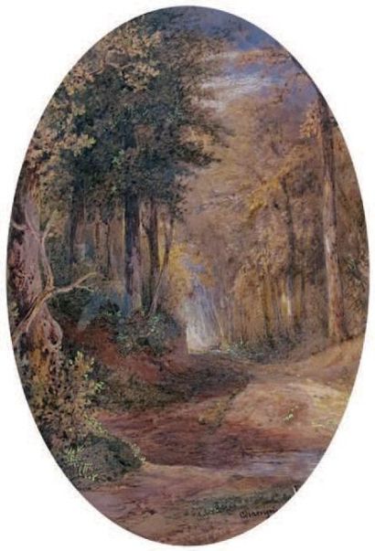 Jean-Jacques CHAMPIN (1796 - 1860) Bois de Nerrières. Le trou Morvan. Pastel gouaché...