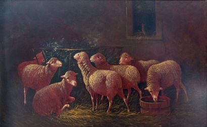A. DESBAUX (XIXe) Les moutons à la bergerie Huile sur toile signée en bas à droite....