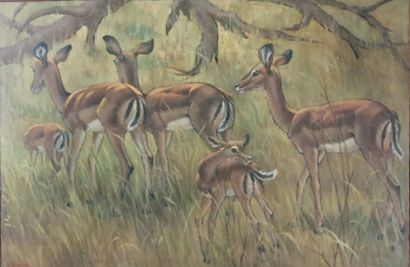 Yvonne LEMOINE (1903 1982) Les gazelles impalas. Importante huile sur toile signée...