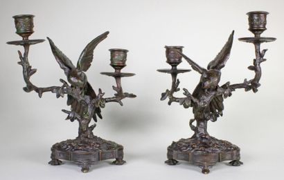 Antoine Louis BARYE (1795 - 1875) Paire de candélabres avec perruches à deux bras...