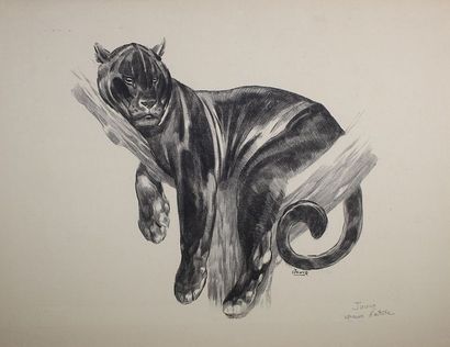Paul JOUVE (1878 - 1973) Panthère branchée 1938. Lithographie originale sur papier...