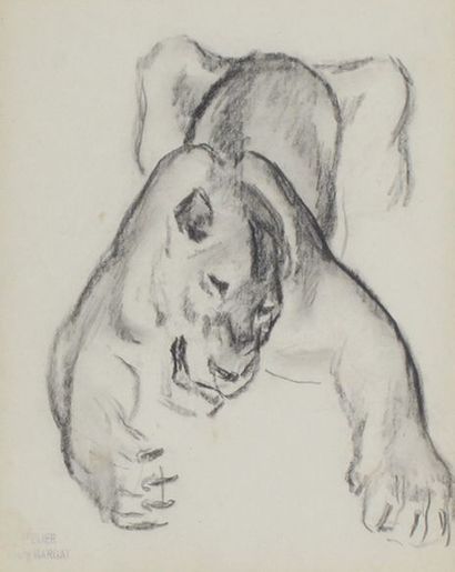 André MARGAT (atelier de) (1903 - 1999) Lionne attaquant. Dessin portant le cachet...