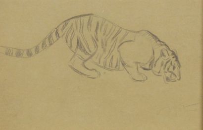 Georges-Lucien GUYOT (1885 - 1973) Tigre se désaltérant. Dessin à la mine de plomb....