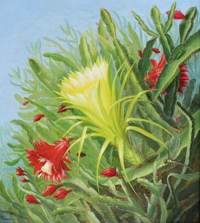 Alfrida V. Ludovica BAADSGAARD (1839-1912) Fleurs de cactus, 1881. Huile sur toile...