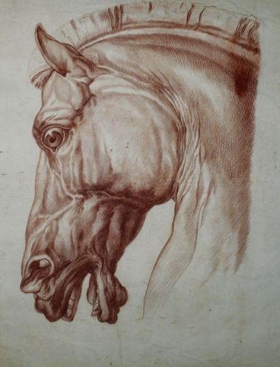 ECOLE DU XVIIIe SIÈCLE 
Tête de cheval.
Etude à la sanguine sur papier.
52,5 x 42...