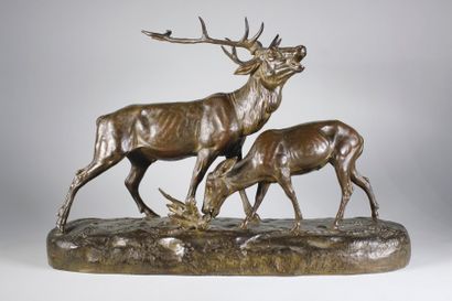Clovis-Edmond Masson (1838 - 1913) 
Cerf et biche.
Epreuve en bronze à patine brun...