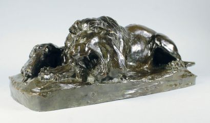 Oscar WALDMANN (1856 - 1937) 
Lion couché.
Epreuve en bronze à patine brun nuancé....