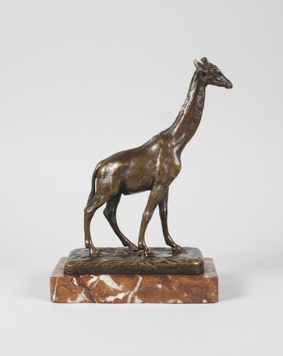 Alfred BARYE (1839 - 1882) 
La girafe.
Epreuve en bronze à patine brun nuancé. Fonte...