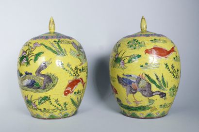 CHINE - XIXe siècle 
Paire de pots en céramique émaillée jaune à décor de carpes...