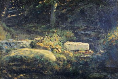 Alexandre CALAME (1810 - 1864) 
Sous-bois ensoleillé.
Huile sur toile signée en bas...