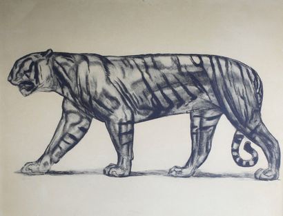 Paul JOUVE (1878 - 1973) 
Tigre marchant.
Lithographie numérotée 53/100 n bas à gauche...