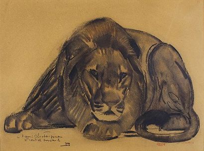 Paul JOUVE (1873 - 1978) Le lion couché.
Lavis d'encre et aquarelle signé situé «Le...