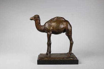 JEAN JOACHIM (1905-1990) Le Dromadaire.
Epreuve en bronze à patine brun clair nuancé....
