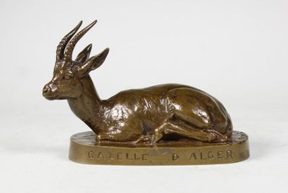 EMMANUEL FREMIET (1824 - 1910) 
Gazelle d'Alger.
Epreuve en bronze à patine brun...