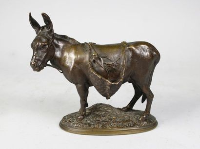 Auguste Nicolas CAIN (1822 - 1894) 
Ane d'Afrique.
Epreuve en bronze à patine brun...