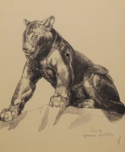 Paul JOUVE (1878 - 1973) 
Jeune panthère assise, 1926.
Lithographie originale sur...