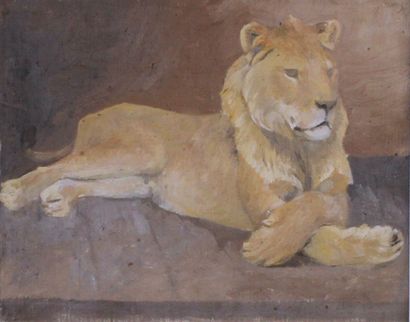 Charles VALTON (1851 - 1918) 
Etude de lion couché.
Huile sur toile. Prov.: atelier...
