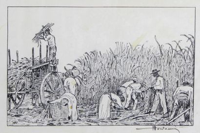 ECOLE FRANCAISE 
La récolte de la canne à sucre, dessin à l'encre noire signé en...