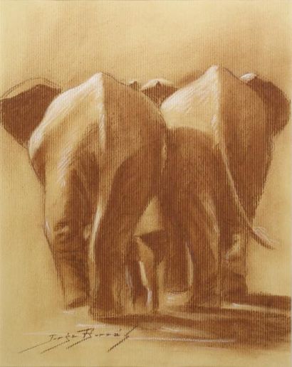 Jorge BORRAS (né en 1952) 
Les éléphants.
Sanguine et craie blanche sur kraft signé...