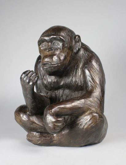 Jorge BORRAS (né en 1952) 
Chimpanzé.
Epreuve en bronze à patine brun nuancé. Cire...