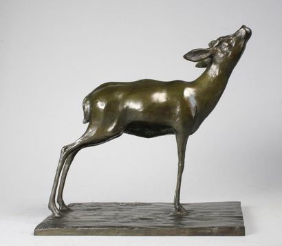 Guido Righetti (1875 - 1958) 
Gazelle africaine n°1.
Epreuve en bronze à patine brun...