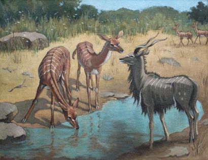 Yvonne LEMOINE (1903-1982) 
Les antilopes.
Importante huile sur toile signée en bas...