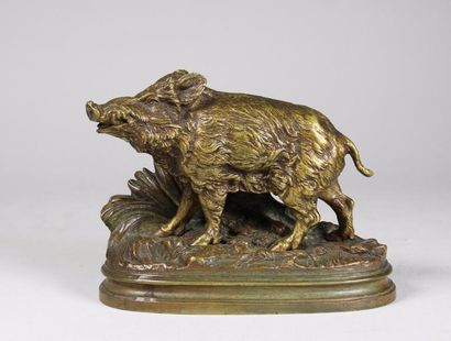 Alfred DUBUCAND (1828-1894) 
Sanglier.
Rare épreuve en bronze à patine brun or nuancé.
fonte...