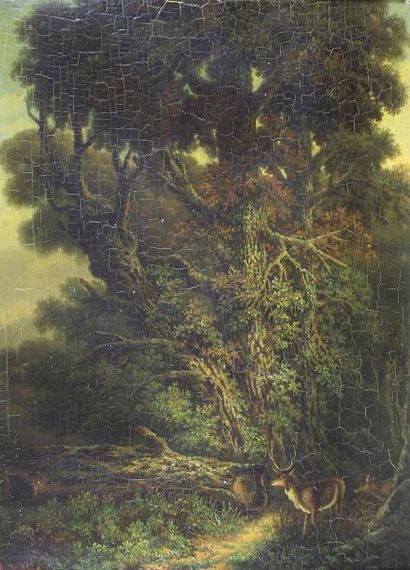 L. Valais (Ecole XIXe siècle) 
Couple de cerfs en forêt.
Huile sur panneau, signé.
32...