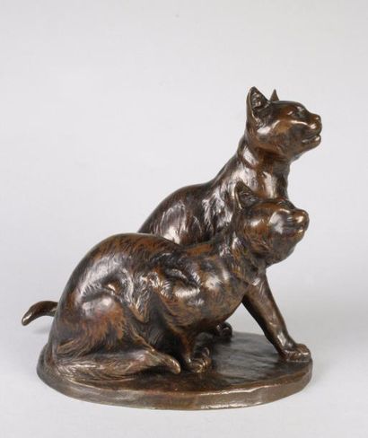 Louis Riché (1877 - 1949) 
Deux chats.
Epreuve en bronze à patine brun foncé nuancé...