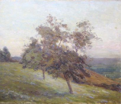 Joseph Vital LACAZE (1874 - 1946) 
Paysage de campagne, 1907.
Huile sur toile signée...