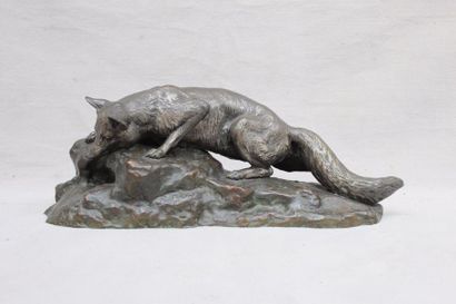 Isidore Jules BONHEUR (1827 - 1901) 
Le renard.
Rare épreuve en bronze à patine brun...