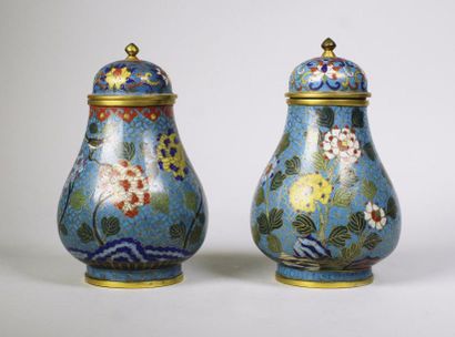 null Paire de vases couverts en bronze cloisonné à décor polychrome de fleurs sur...