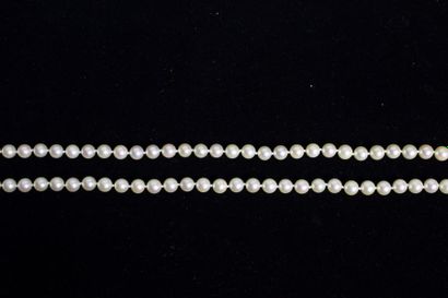 MIKIMOTO 
Collier de perles de culture. Fermoir en or jaune 18k (750‰) dans son écrin.
Poids...