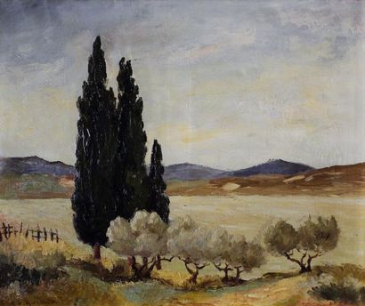 Burnand AK (Ecole du XXe siècle) 
Paysage de Provence.
Huile sur toile signée en...