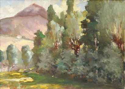 ÉMILE AUGUSTE WERY (1868 - 1935) Paysage méditerranéen, 1919.
Huile sur panneau signé...