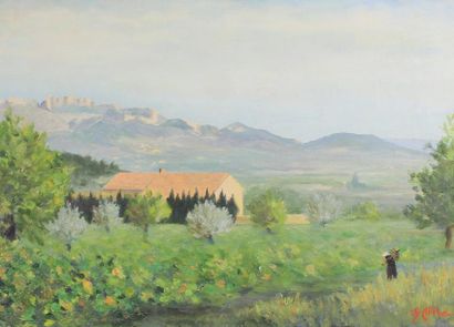 CH. AFFRE (Ecole du XXe siècle) Paysages aux oliviers.
Deux huiles sur toile signées...