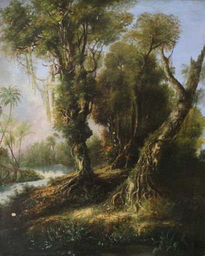 Henry CLEENEWERCK (1818 - 1901) (Attribué à) Jungle à Cuba.
Huile sur toile.
(Accidents)...