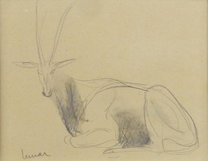 Marcel LEMAR (1892 - 1941) Antilope couchée.
Dessin à la mine de plomb signée en...