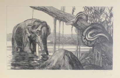 Paul JOUVE (1873 - 1978) Eléphant et python.
Lithographie originale sur papier Japon...