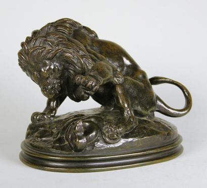 Antoine-Louis BARYE (1795 - 1875) Lion au serpent patte levée.
Epreuve en bronze...