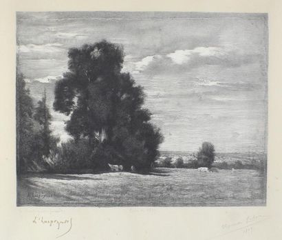 Henri Joseph HARPIGNIES (1819 - 1916) Paysage aux grands arbres.
Eau forte signée...