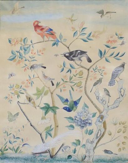 École FRANÇAISE du XVIIIe siècle Etude de fleurs, oiseaux et insectes.
Aquarelle...