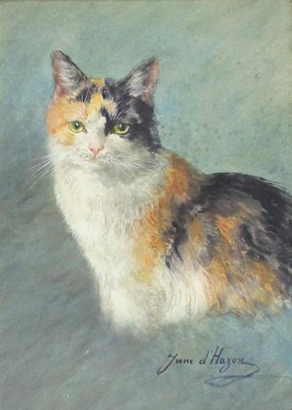 Jane DE HAZON DE SAINTFIRMIN (1874-?) Portrait de chat sur fond bleu.
Aquarelle signée...
