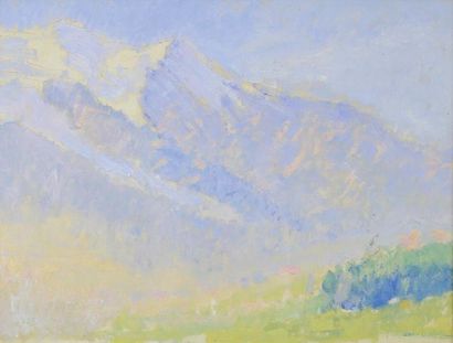 André BARBIER (1883 - 1970) Paysage de montagne.
Deux huiles sur toile signées en...