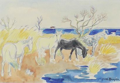 Yves Brayer (1907 - 1990) Chevaux de Camargue à l'automne.
Aquarelle signée en bas...