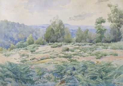 H. MARET La lande 1894.
Aquarelle signée en bas à droite et datée «94».
34 x 50 ...